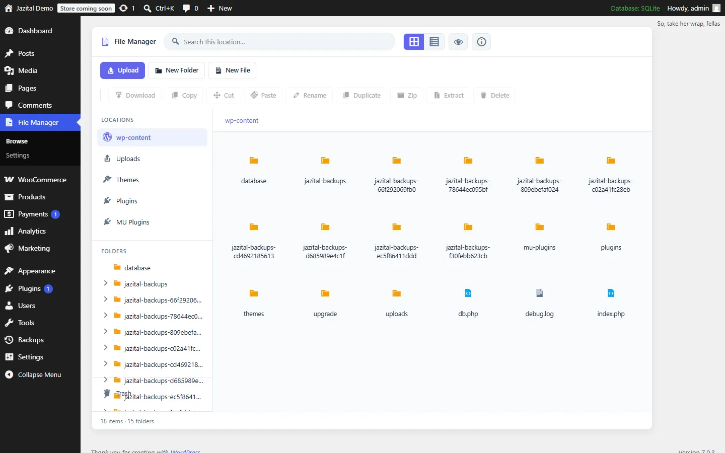 WordPress file manager plugin showing wp-content folders in a three-pane layout