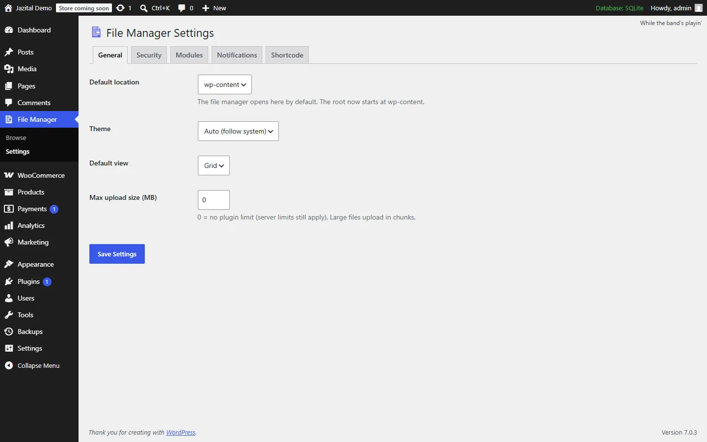 File manager settings with default location, theme and view