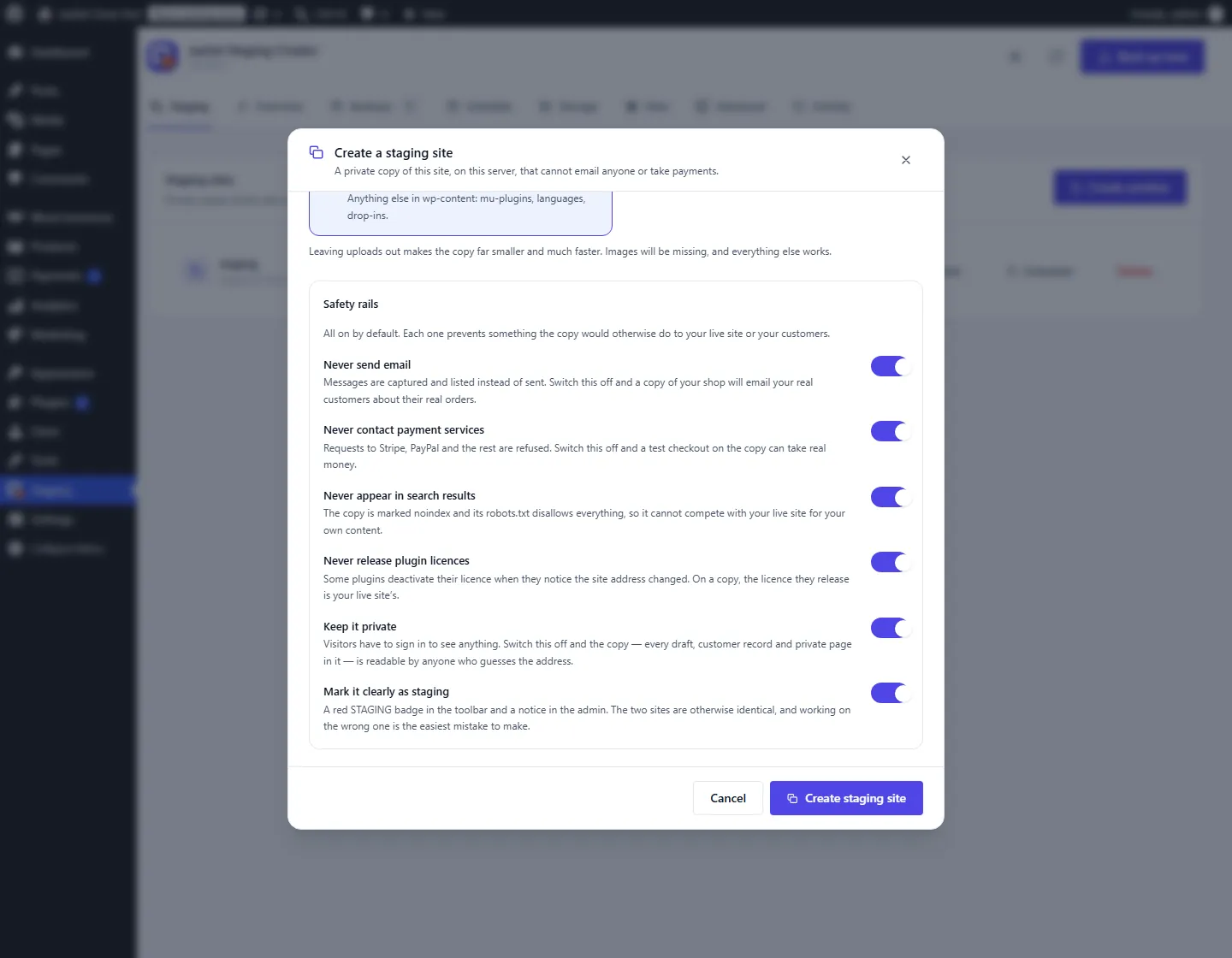 Create a staging site dialog with the safety rails switched on