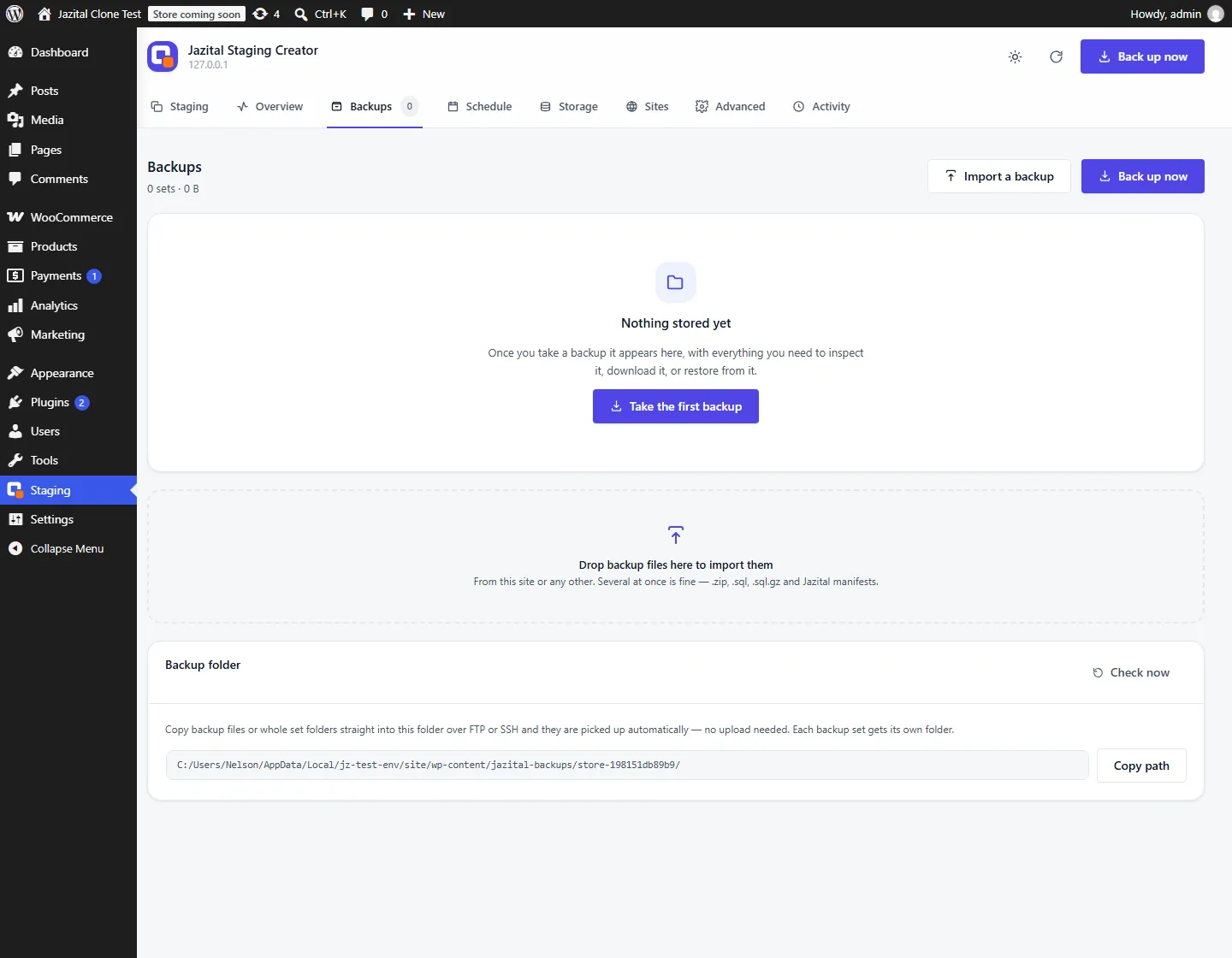 Backups screen inside the staging plugin