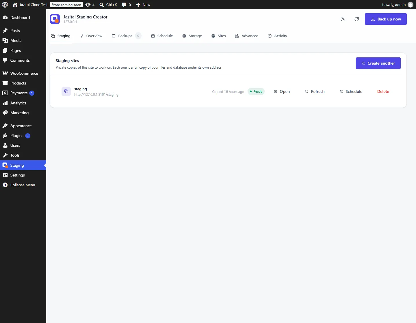 Staging screen of the WordPress staging plugin with a staging copy ready to open