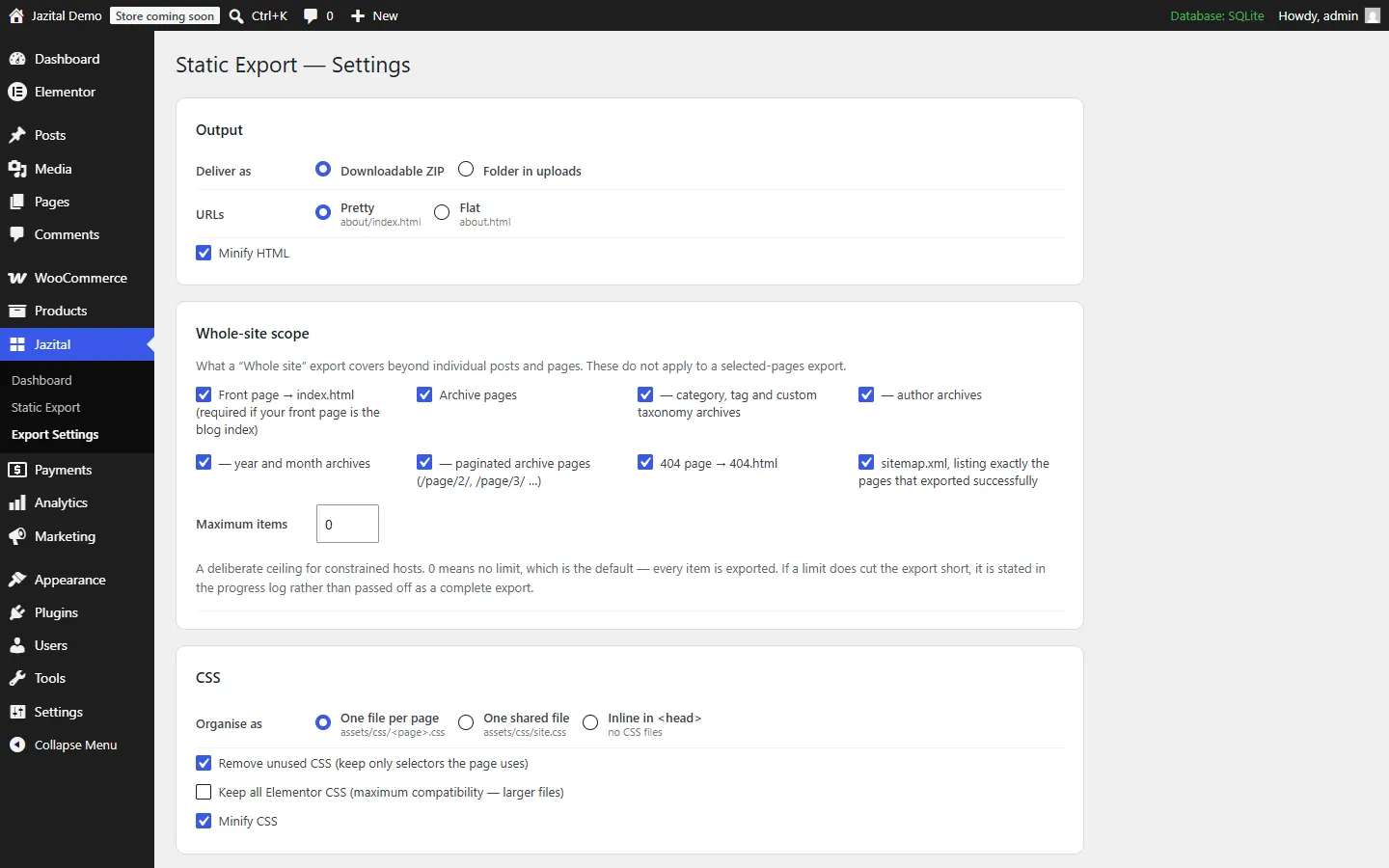 Static export settings for output, whole-site scope and CSS